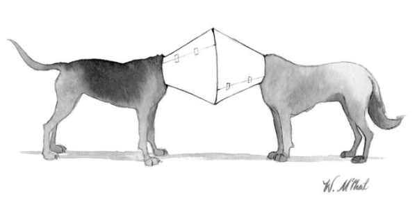 New Yorker caption contest #561: Two dogs in vet cones, face to face.