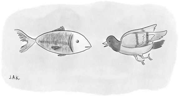 New Yorker caption contest #562: Duck and fish talking.