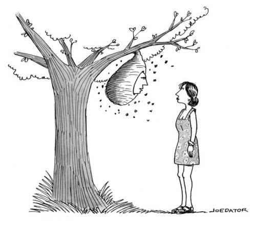 New Yorker caption contest #576: Man's face in a hornet's nest, speaking to a woman.