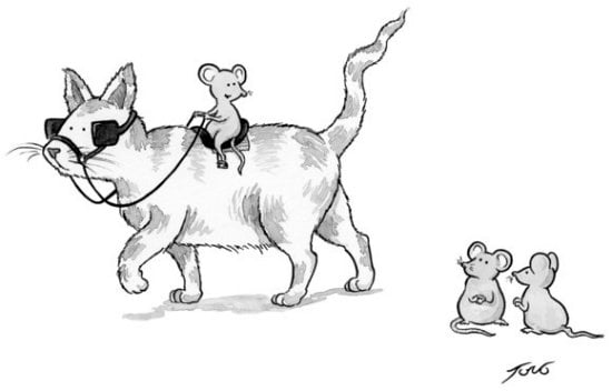 New Yorker caption contest #640