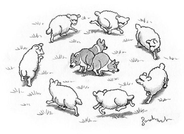 Cartoon Collections caption contest 2019-02-27