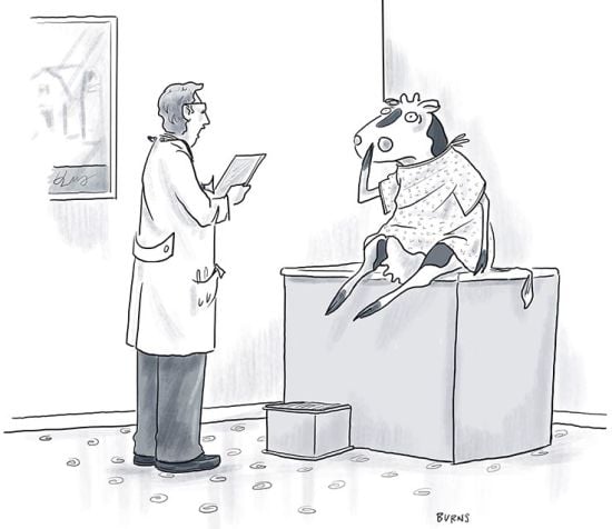 Cartoon Collections caption contest 2020-02-12